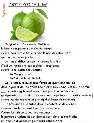 FRUITS_exotic/fruits_agrumes_citron_vert.jpg
