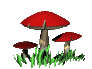 GIF/gid-veg_mushroom2.gif