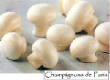 CHAMPIGNONS/champignon-button.jpg