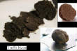 CHAMPIGNONS/champignon-truffe-noire-cut_2.jpg