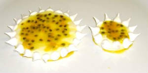 DESSERTS/passion_fruit_sunflower_and_mini_1.JPG