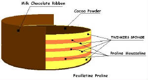 DESSINS/BCake-praline-Yellow_sponge.JPG