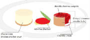 DESSINS/CHEESE_CAKE_Cherry_compote_Mercer.jpg