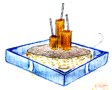DESSINS/dessin_otabe_schmankerln.gif DESSINS/dessin_otabe_schmankerln.gif