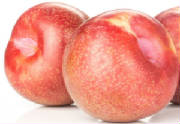 FRUITS/fruit_pluot.jpeg