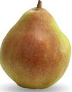 FRUITS/fruit_pear_comice.jpg