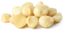 FRUITS_SECS/Fruit_coque_macadamia.jpg