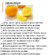 FRUITS_exotic/fruits_agrumes_citron_meyer.jpg