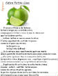 FRUITS_exotic/fruits_agrumes_citron_vert.jpg