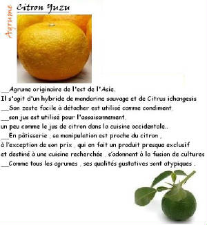 FRUITS_exotic/fruits_agrumes_citron_yuzu_jaune.jpg