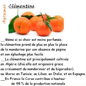 FRUITS_exotic/fruits_agrumes_clementine.jpg