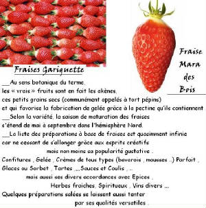 FRUITS_exotic/fruits_baie_fraise_gariguette.jpg