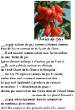 FRUITS_exotic/fruits_baie_goji.jpg