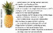 FRUITS_exotic/fruits_exotiques_ananas_victoria.jpg