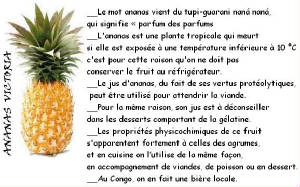 FRUITS_exotic/fruits_exotiques_ananas_victoria.jpg