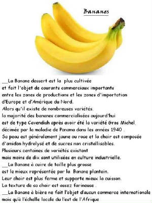 FRUITS_exotic/fruits_exotiques_banane.jpg