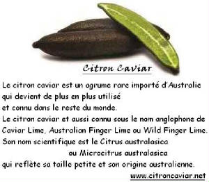 FRUITS_exotic/fruits_exotiques_citron_caviar.jpg