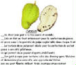 FRUITS_exotic/fruits_exotiques_corossol.jpg