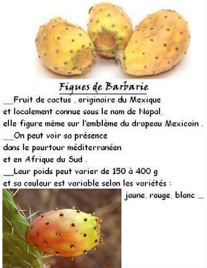 FRUITS_exotic/fruits_exotiques_figue_barbarie.jpg