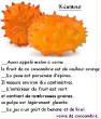 FRUITS_exotic/fruits_exotiques_kiwano.jpg