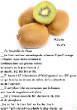 FRUITS_exotic/fruits_exotiques_kiwi_vert.jpg