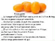 FRUITS_exotic/fruits_exotiques_kumquat.jpg