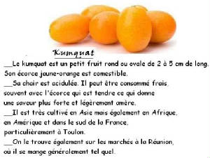 FRUITS_exotic/fruits_exotiques_kumquat.jpg