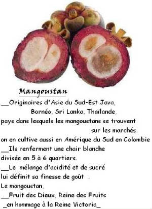 FRUITS_exotic/fruits_exotiques_mangoustan.jpg