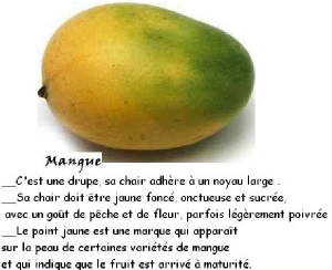 FRUITS_exotic/fruits_exotiques_mangue.jpg