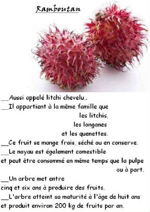 FRUITS_exotic/fruits_exotiques_ramboutan.jpg