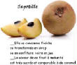 FRUITS_exotic/fruits_sapotille.jpg