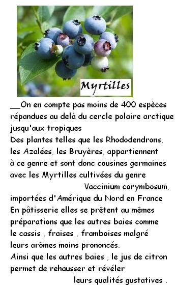 FRUITS_exotic/fruits_baie_myrtille.jpg