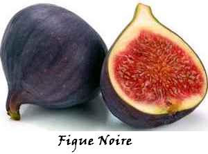 FRUITS_exotic/fruits_exotiques_figue_noire.jpg