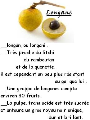 FRUITS_exotic/fruits_exotiques_longane.jpg