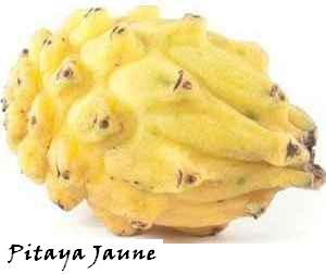 FRUITS_exotic/fruits_exotiques_pitaya_jaune.jpg