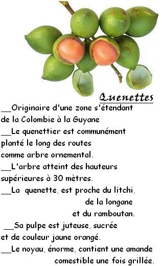 FRUITS_exotic/fruits_exotiques_quenette.jpg