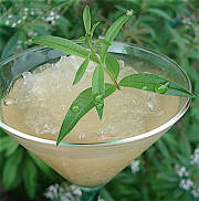 Frozen_Ideas/granita_lemon_verbena.jpg