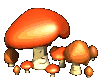 GIF/gid-veg_mushroom1.gif