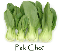 LAITUES/laitue-Pak_Choi.gif