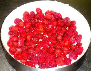 OCCASIONS/berry_napoleon_9.JPG