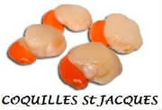 POISSONS-FDM/poisson_fdm_coquille_jacques_noix.jpg