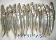 POISSONS/poisson_eperlans.jpg