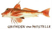 POISSONS/poisson_grondin.jpg