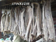 POISSONS/poisson_stockfish.jpg