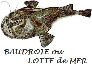 POISSONS/poisson_baudroie.jpg