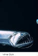 POISSONS_deepsea/Vipeerfish__.jpg
