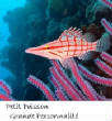 POISSONS_deepsea/image_huit_50.jpg