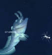 POISSONS_deepsea/image_sept_8.jpg