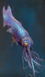 POISSONS_deepsea/image_six_10.jpg