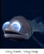 POISSONS_deepsea/image_ter_26.jpg